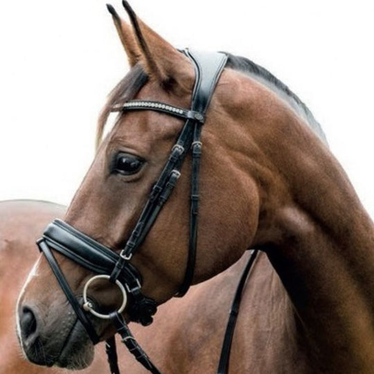 HARNESS LEATHER.