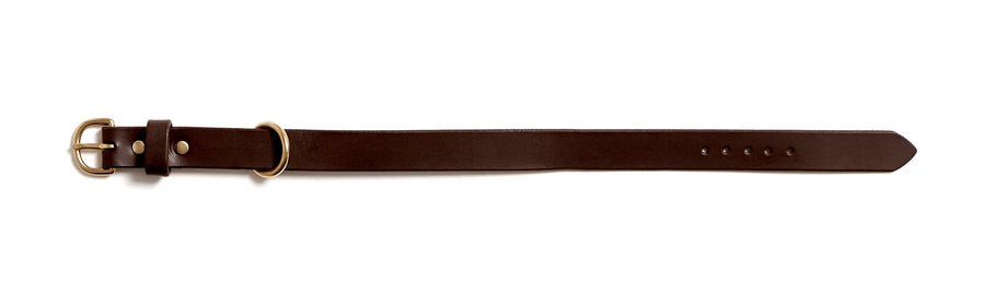 Leather dog collar: MESTER (dark brown)