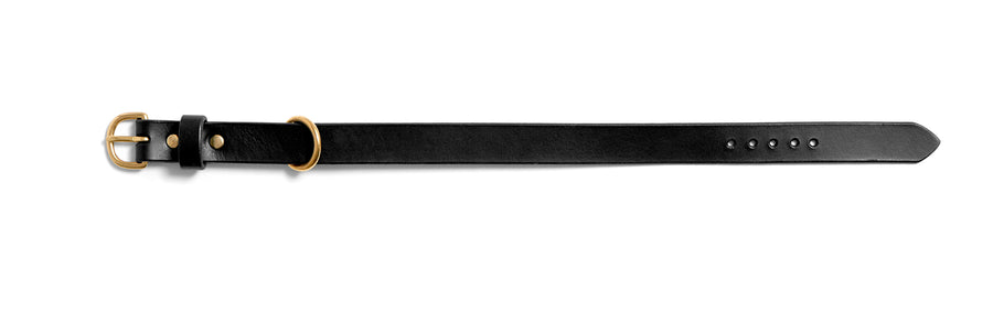 Leather dog collar: MESTER (black)
