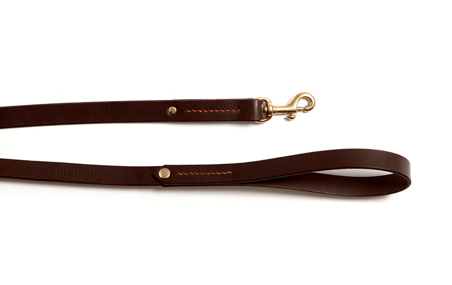 Leather dog leash: MESTER (dark brown)
